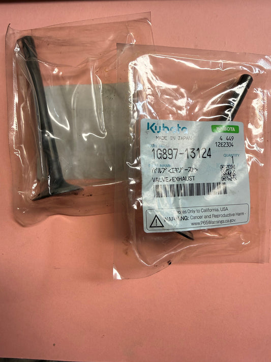1G897-13124 KUBOTA EXHAUST VALVE