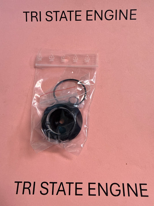 Deutz fuel pump repair kit 1340488