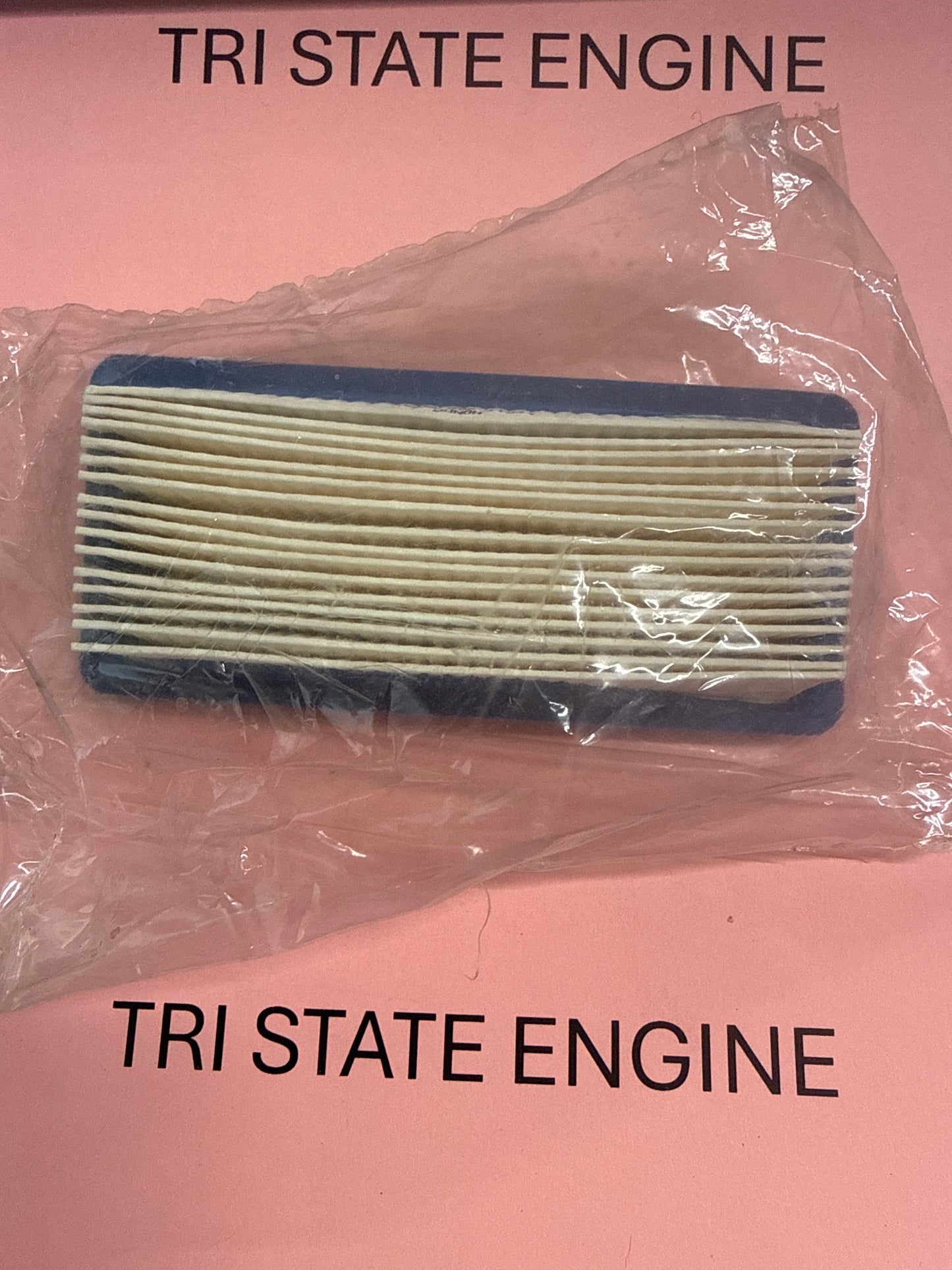 Honda outer filter 17211-ZG9-800